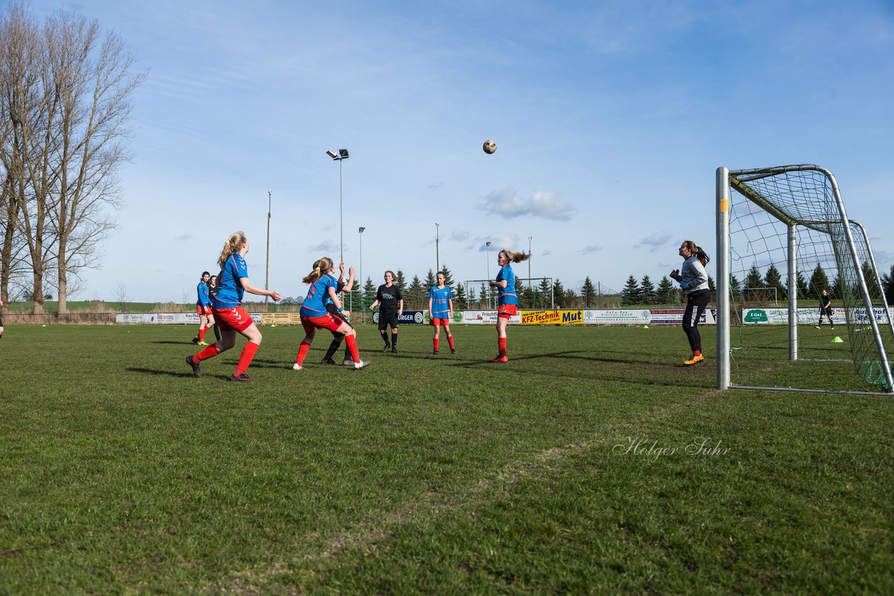 Bild 293 - C-Juniorinnen SV Steinhorst/Labenz - TSV Friedrichsberg-Busdorf : Ergebnis: 5:0